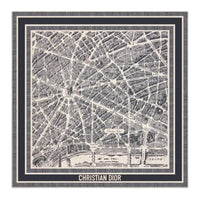 DIOR Silk Silk Scarves Women's Gray