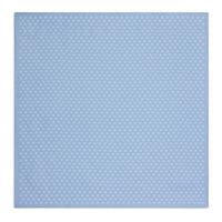 CELINE Mulberry Silk Silk Scarves Women's Blue