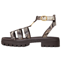 CELINE Clea Triomphe Roman Sandals 4cm Women's Dark Brown