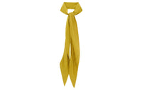 SAINT LAURENT Ties Women's Dark Green/Gold