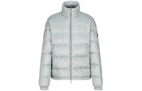 DIOR Down Jacket Winter Men's Gray