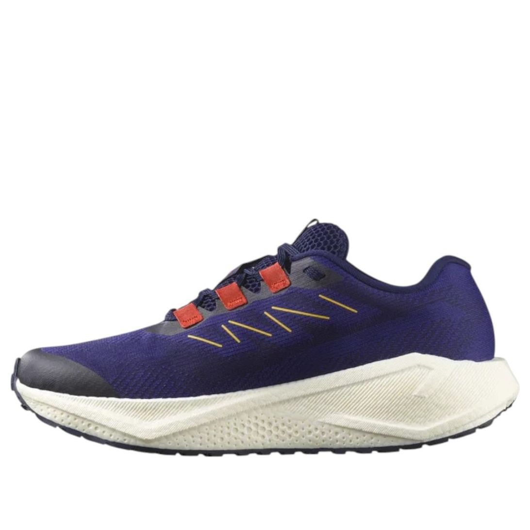 SALOMON Aero Blaze 3 Gravel Gore-Tex 'Astral Aura' 479154