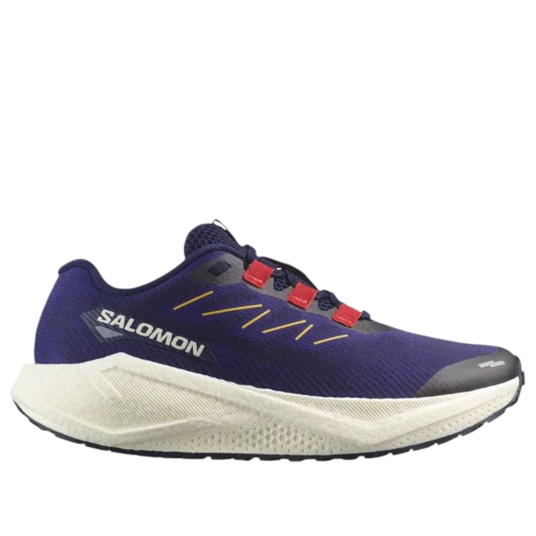 SALOMON Aero Blaze 3 Gravel Gore-Tex 'Astral Aura' 479154