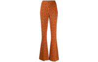 MIU MIU Casual Pants Women's Orange