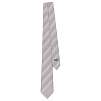 DIOR Silk Ties Men's Gray/White