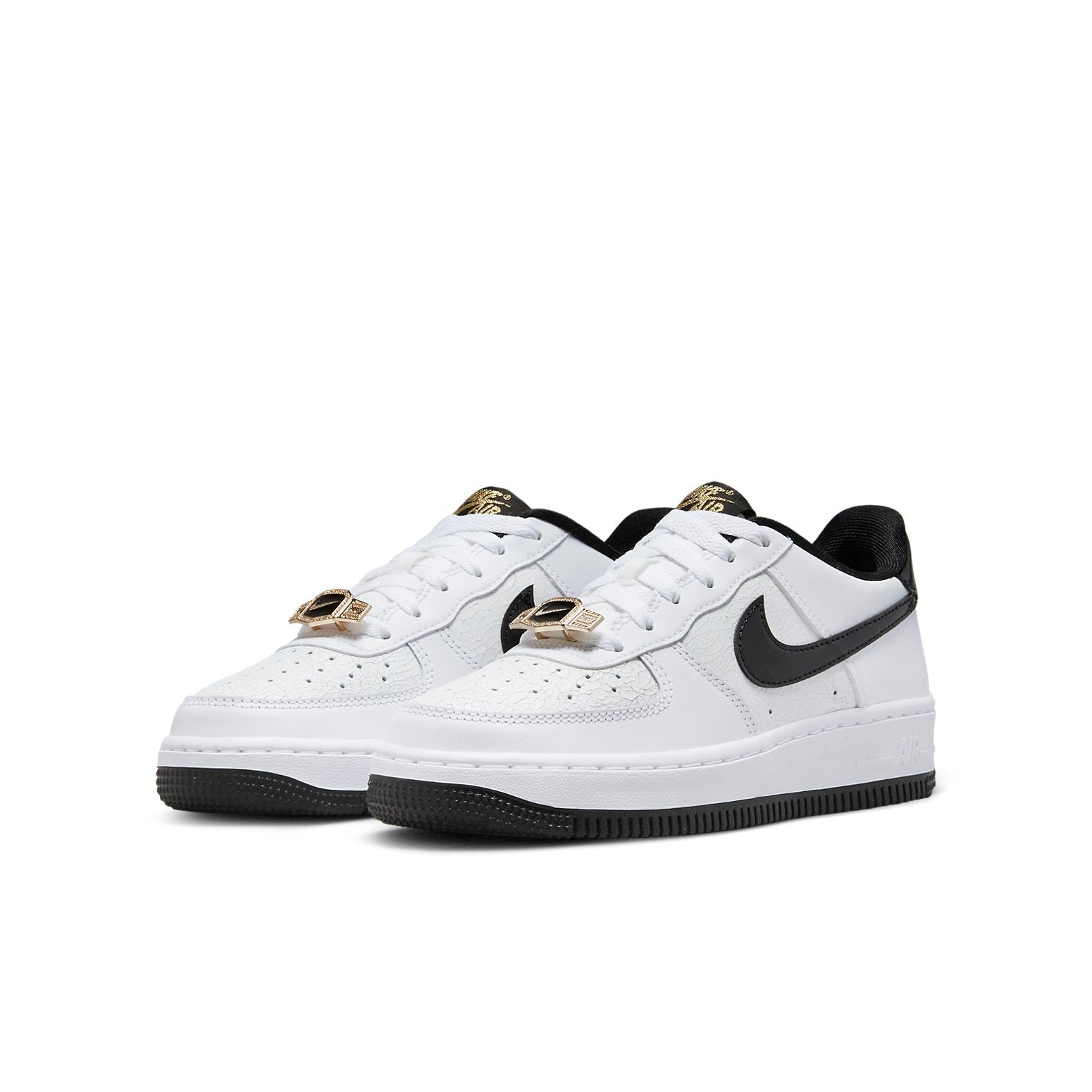 (GS) Nike Air Force 1 LV8 'World Champ' DQ0300-100