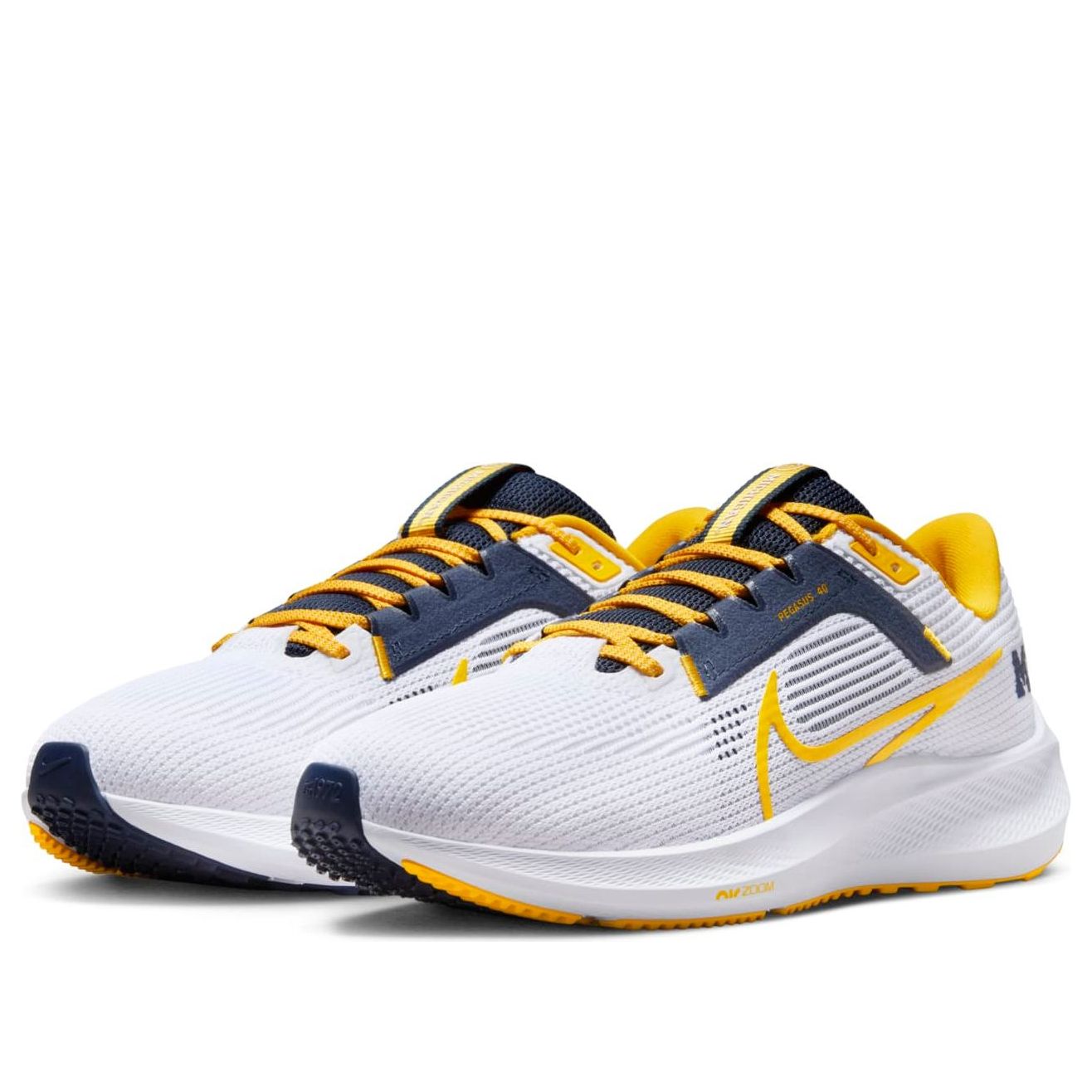 Nike Air Zoom Pegasus 40 'Michigan' DZ6001-100