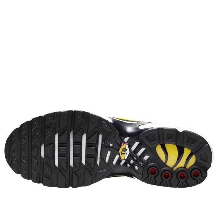 (WMNS) Nike Air Max Plus 'Snakeskin' CT1555-001