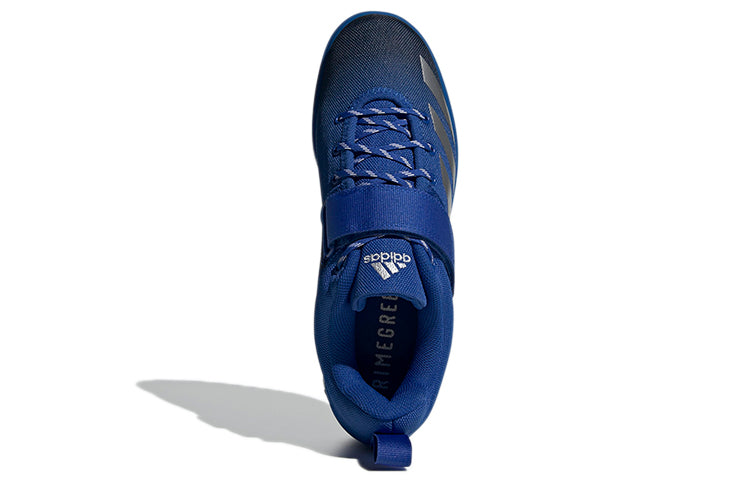 adidas Powerlift 4 'Royal Blue' FZ5304