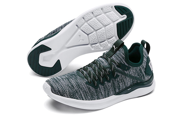 (WMNS) PUMA Ignite Flash Evoknit 'Gray Green White' 190511-16