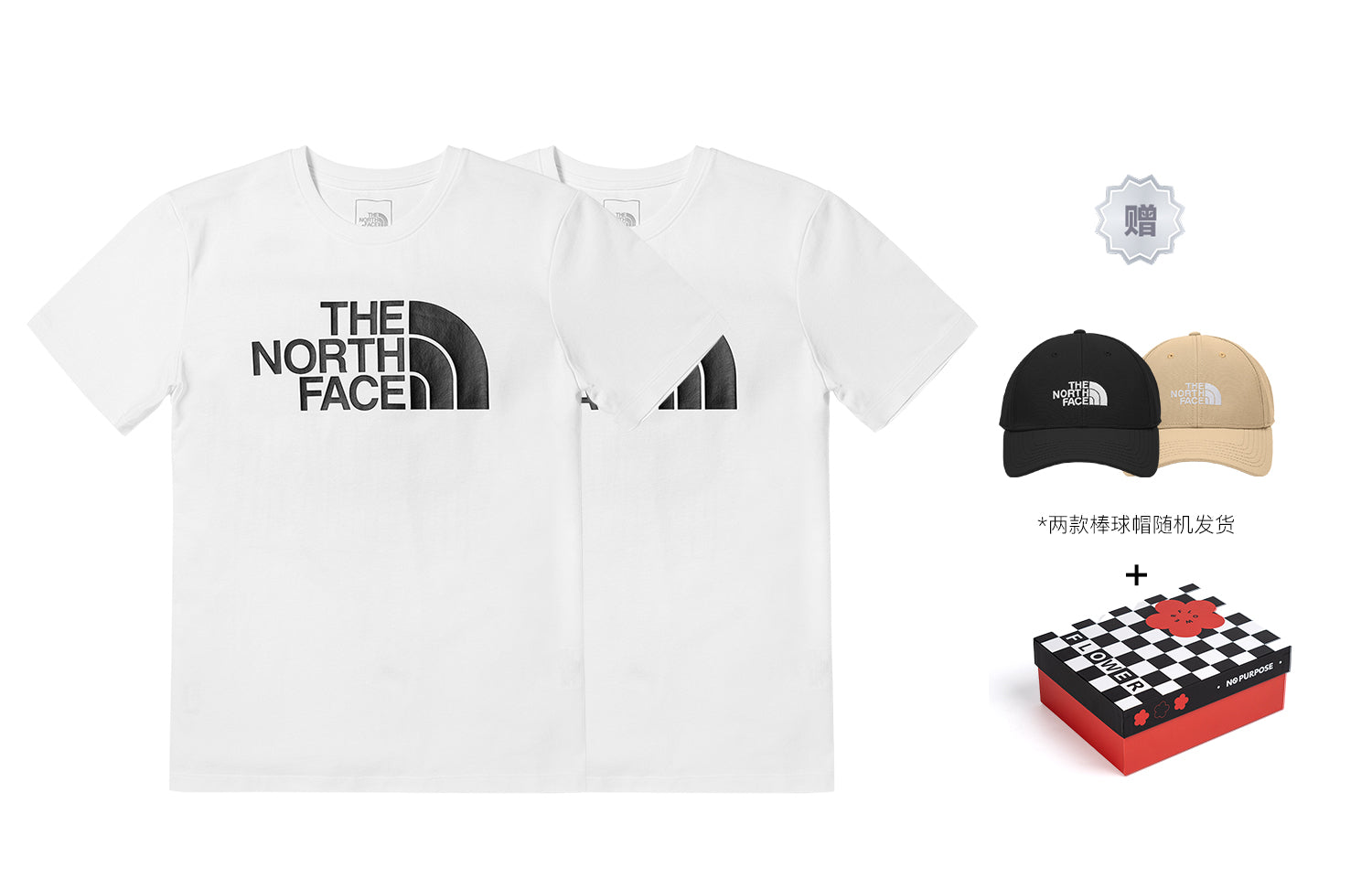 THE NORTH FACE SS22 Easy T-shirt 'White' NF0A5JZS-FN4