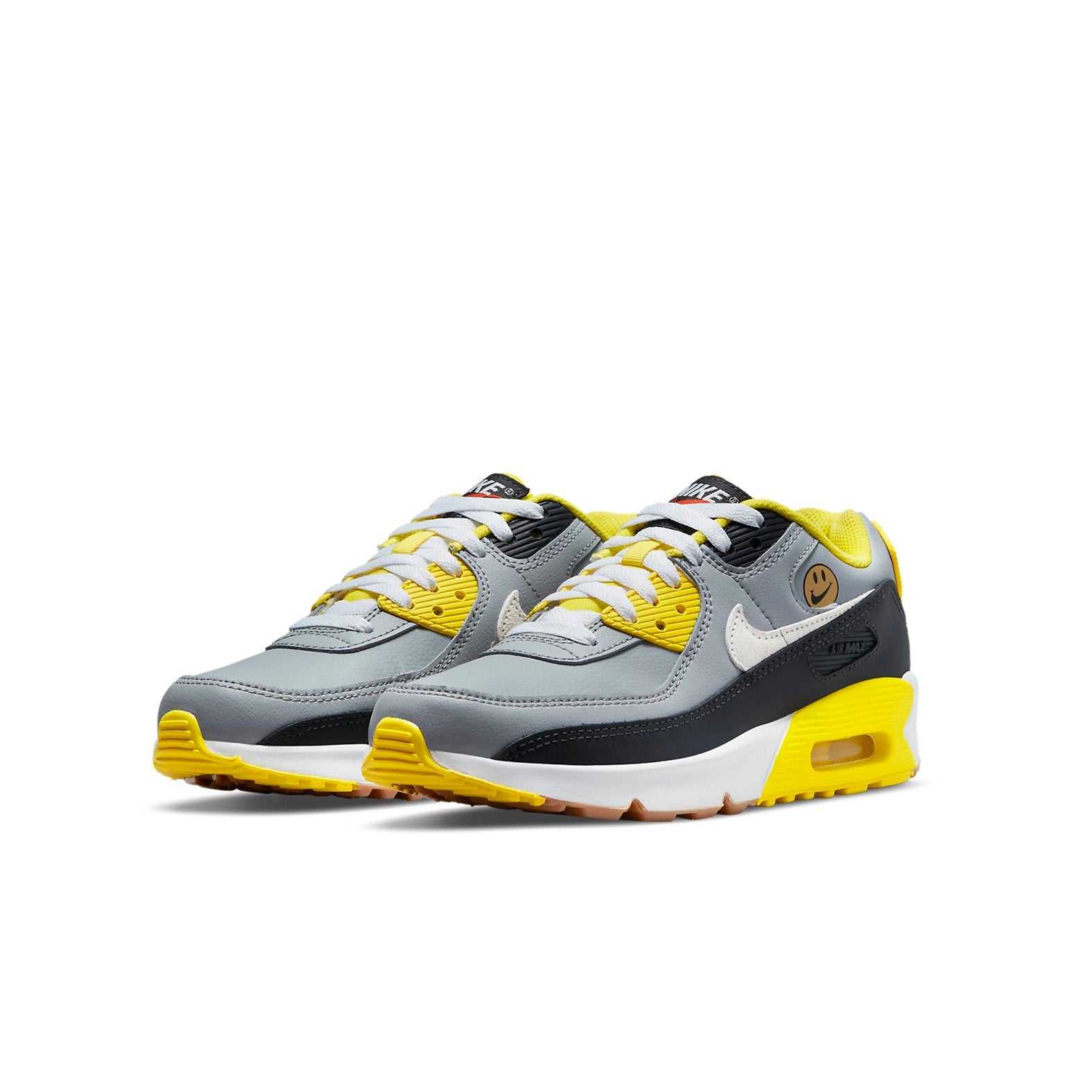 (GS) Nike Air Max 90 Leather 'Go The Extra Smile' DQ0570-001