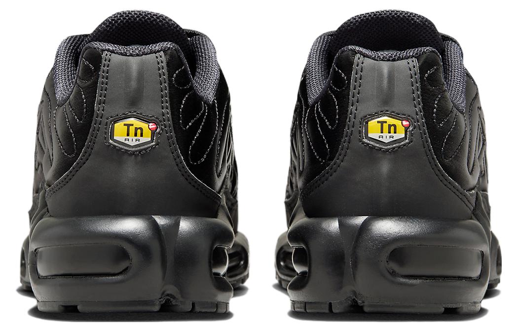 (WMNS) Nike Air Max Plus 'Black Anthracite Sail' FV1169-001