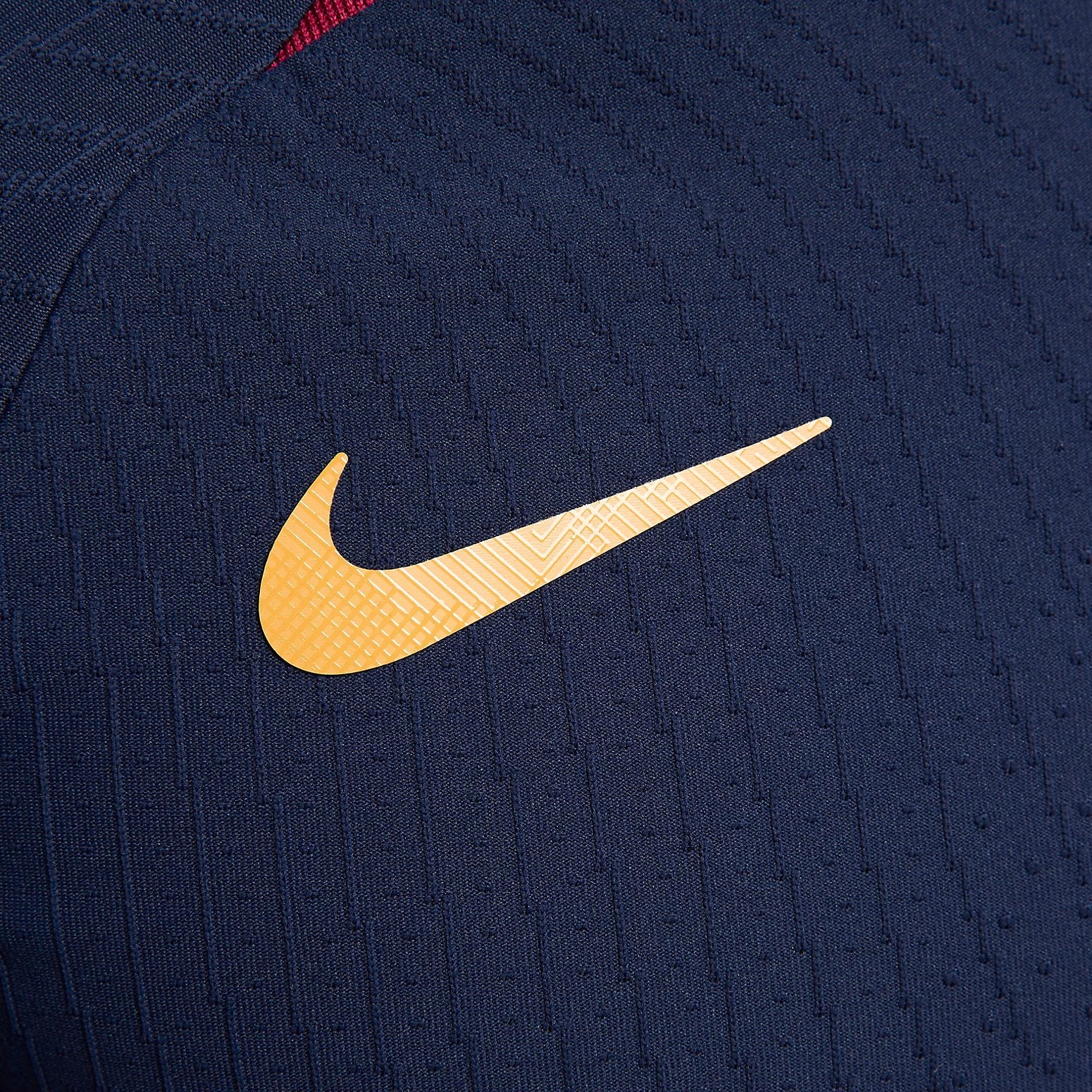 Nike Dri-FIT ADV Paris Saint-Germain Jerseys 'Blue' DX2893-499