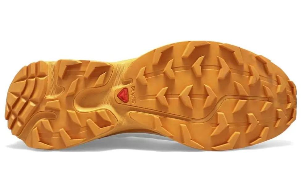 SALOMON XT-6 FT 'Vanilla Buckskin' 471514