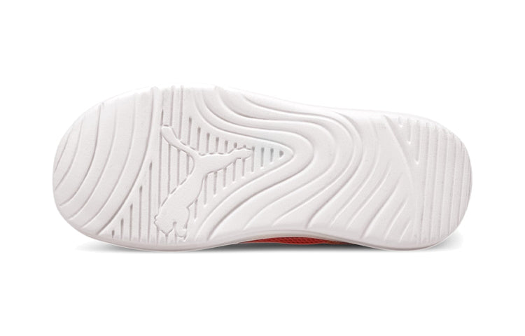 (PS) PUMA Aquacat Shield Pink 374860-03