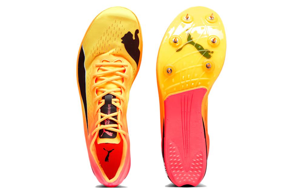 PUMA EvoSPEED Long Distance Nitro Elite+ Spike Shoes 'Orange' 378222-03