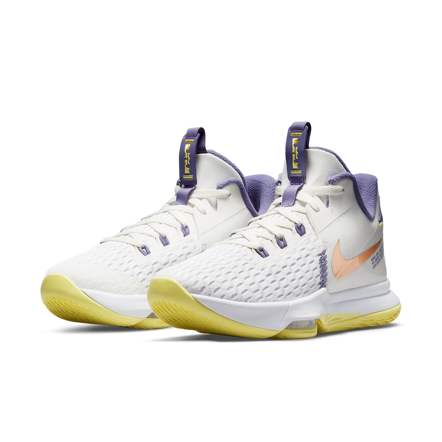 Nike LeBron Witness 5 EP 'Summit White Metallic Bronze' CQ9381-102