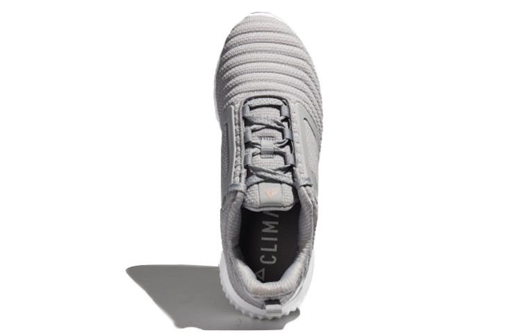 (WMNS) adidas Climawarm All Terrain Shoes Grey/White CG2735