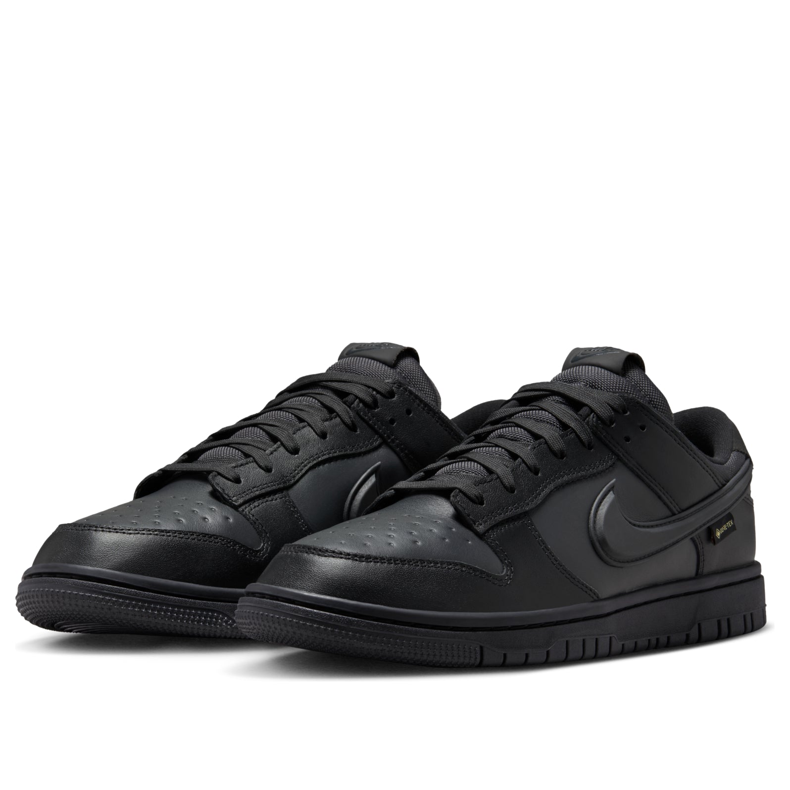 Nike Dunk Low GTX 'Black' HQ2053-001