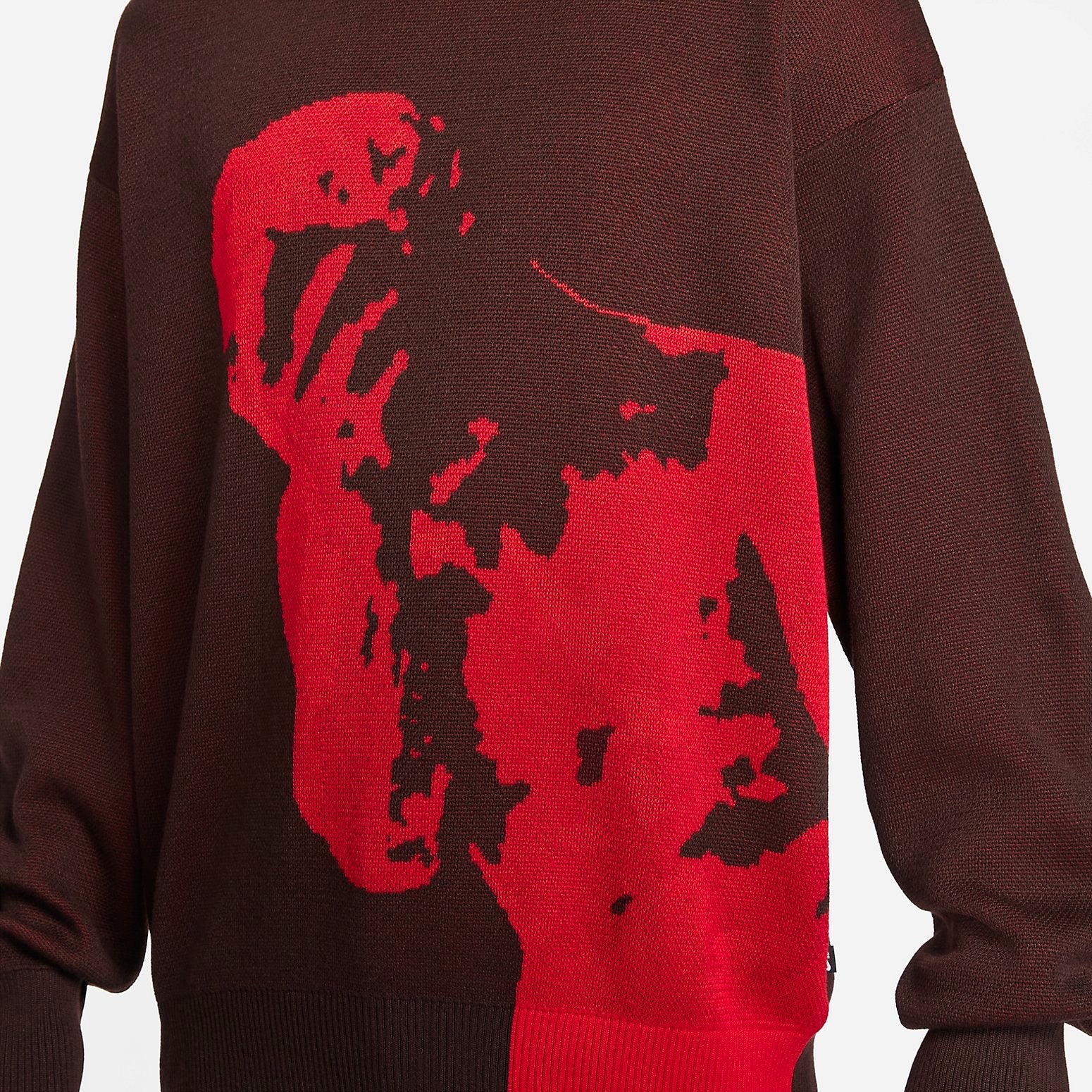 Nike SB Skate Sweater 'Earth' FN2574-227
