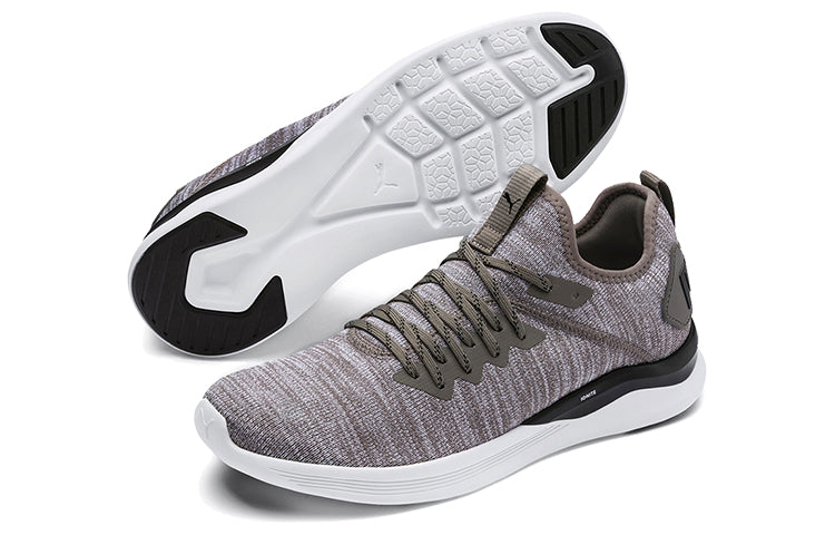PUMA Ignite Flash EvoKnit 'Steel Gray' 190508-18