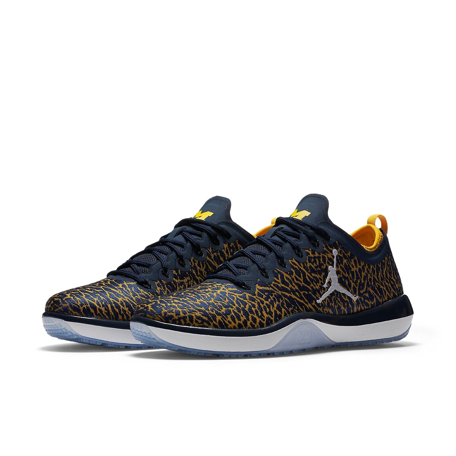 Air Jordan Trainer 1 Low 'Michigan' 845403-420