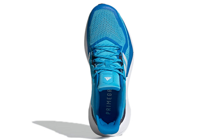 adidas Alphatorsion 2.0 Blue GY0596