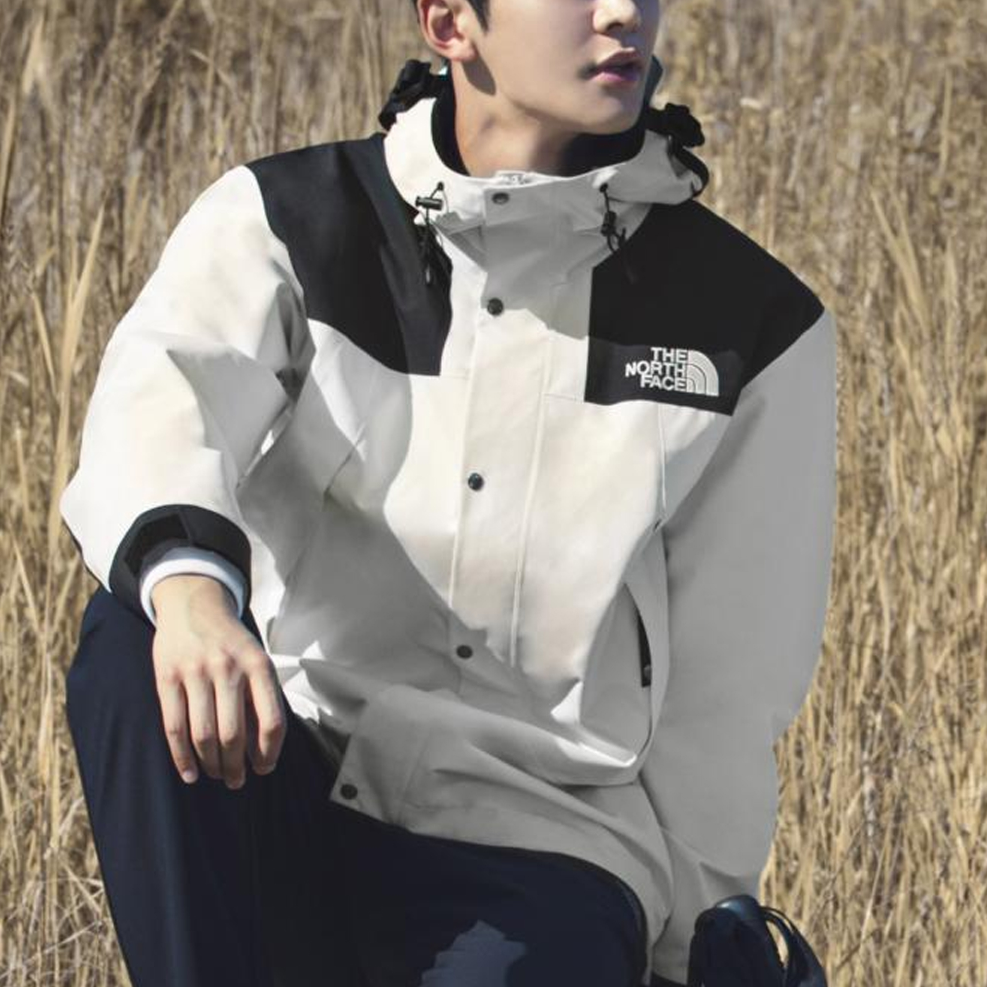 THE NORTH FACE Eco Gtx Mountain Jacket 'White' NJ2GN50A