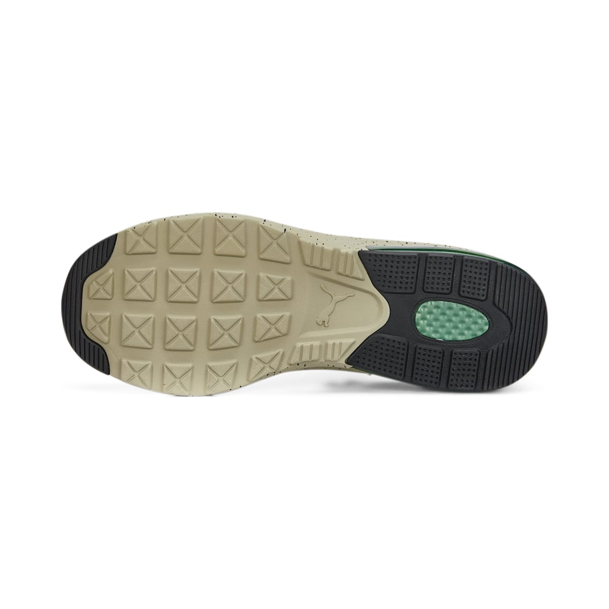 PUMA Electron 2.0 Open Road 387270-01