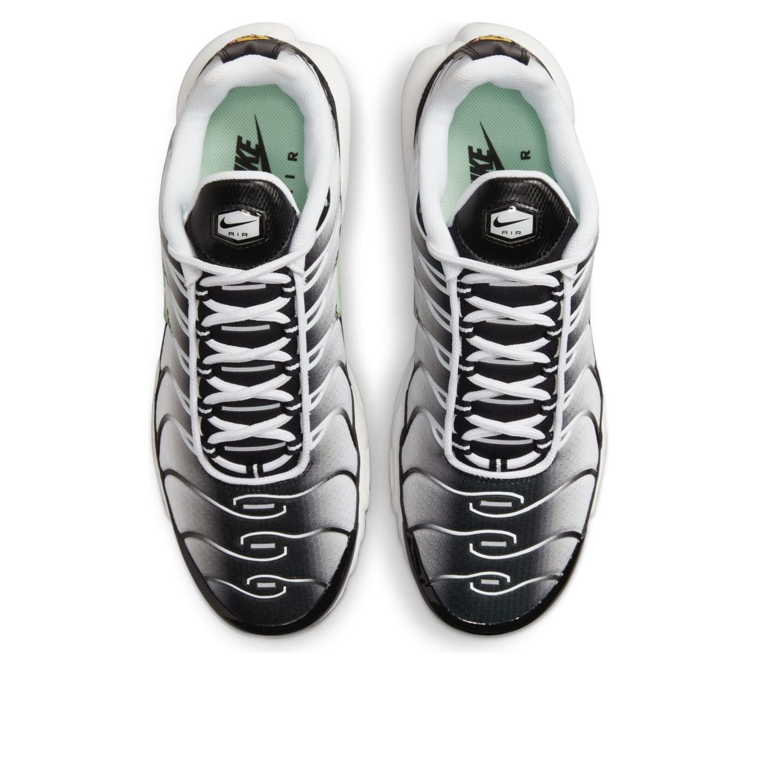 Nike Air Max Plus 'Seafoam' DH4776-100