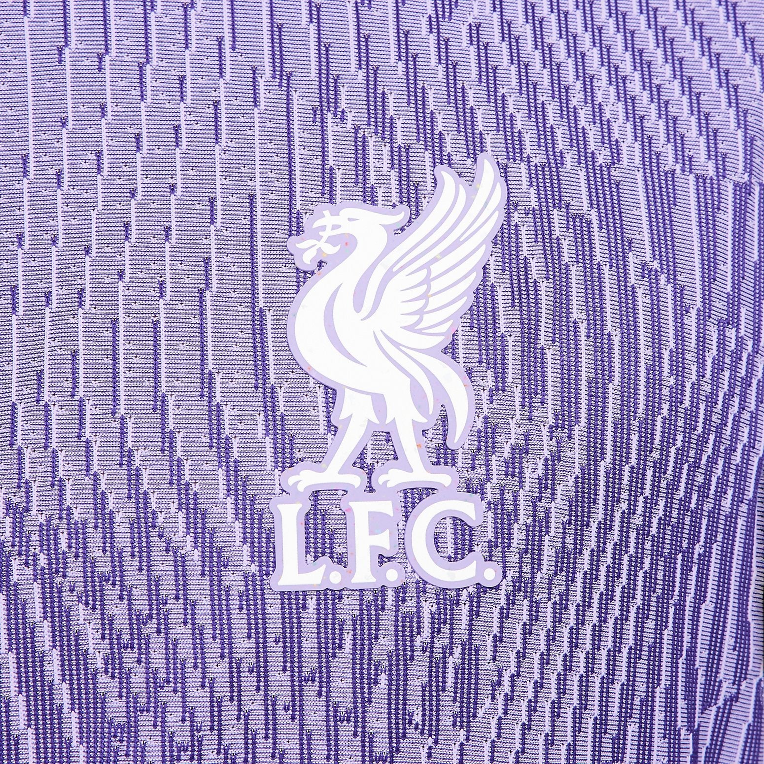 Nike Liverpool FC 2023/24 Match Third Jersey 'Purple' DX9758-568