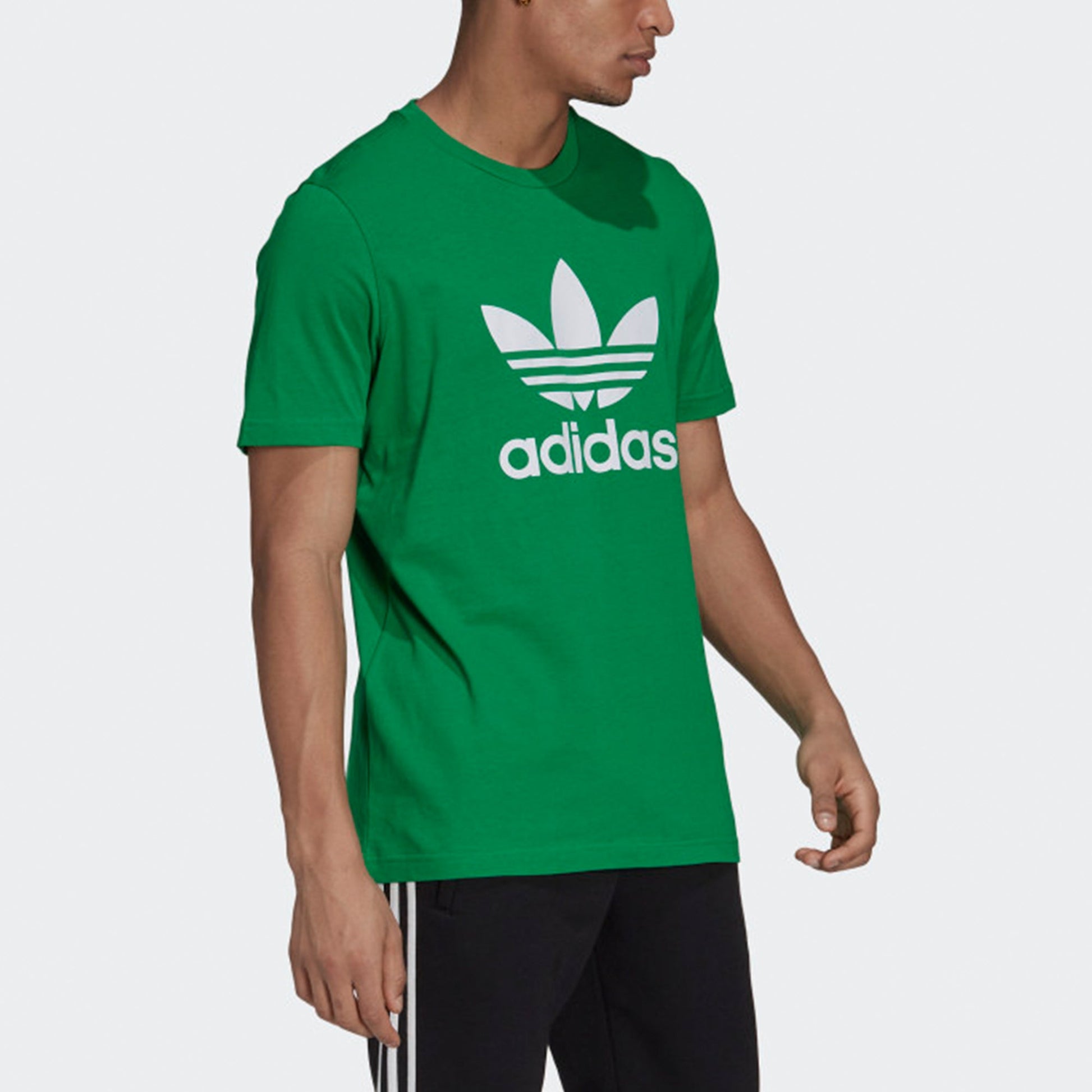 adidas originals Adicolor Classics Logo Tee H06639