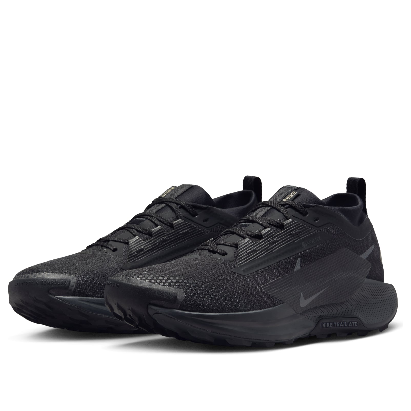 Nike Pegasus Trail 5 Gore-Tex 'Black Anthracite' FQ0908-002