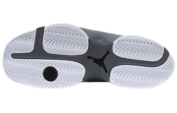 Air Jordan Jumpman Team Flow 'White Cool Grey' CN3508-100