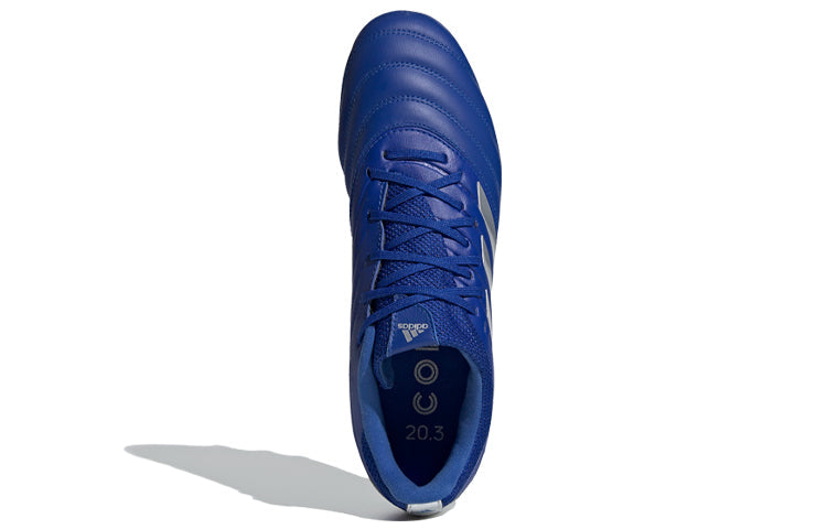 adidas Copa 20.3 MG 'Blue Grey' EH0908