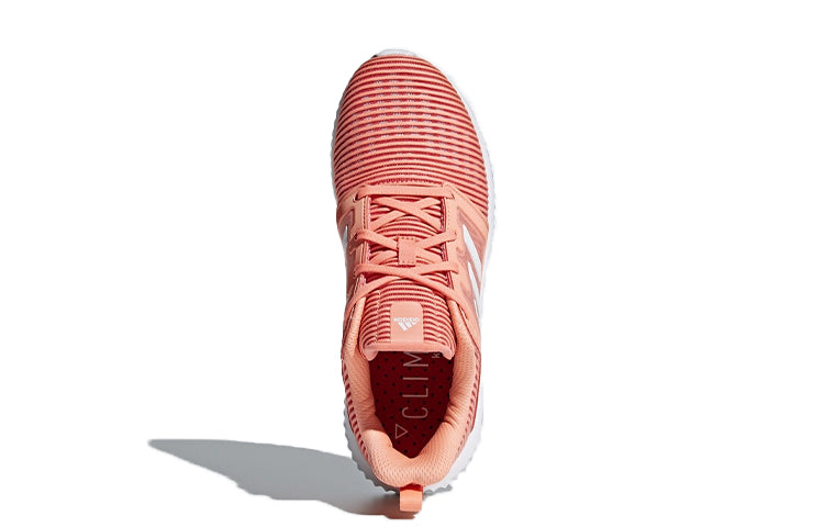 (WMNS) adidas Climacool Vent 'Pink' CG3922