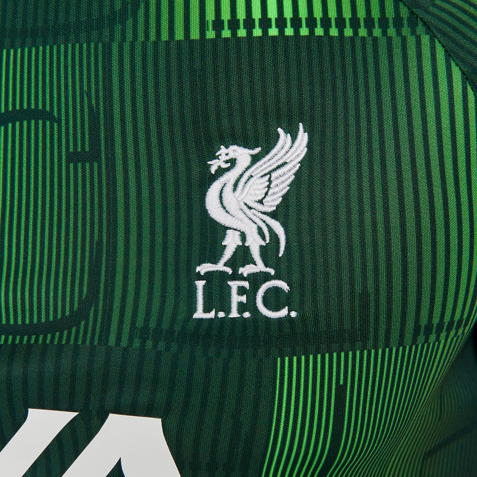 Nike Dri-FIT Pre-Match Liverpool FC Academy Pro Jerseys 'Green' DX3614-398