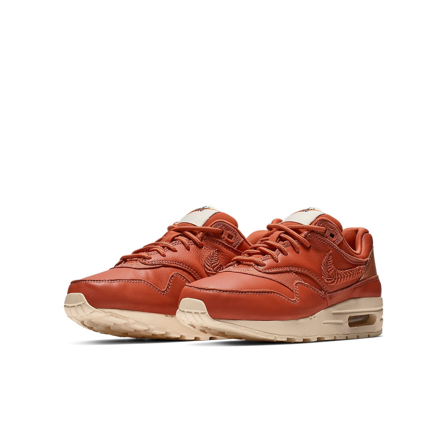 (GS) Nike Air Max 1 Premium 'Embroidered Swoosh' AV2288-200