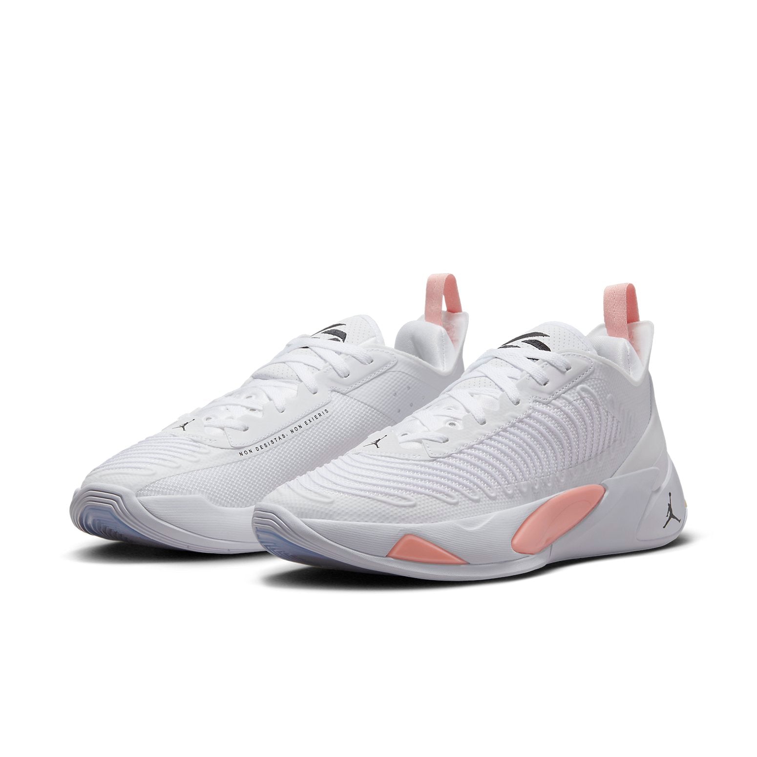 Air Jordan Luka 1 'Dog Dad' DN1771-106