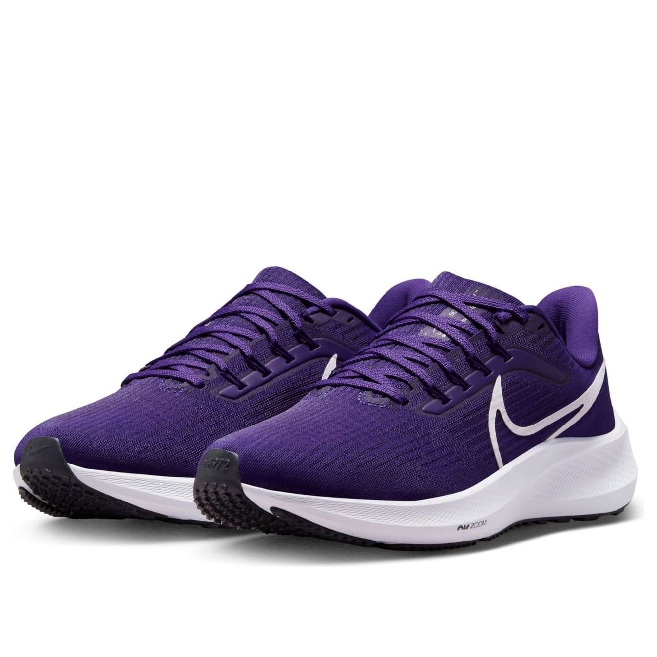Nike Air Zoom Pegasus 39 TB 'Court Purple' DM0164-500