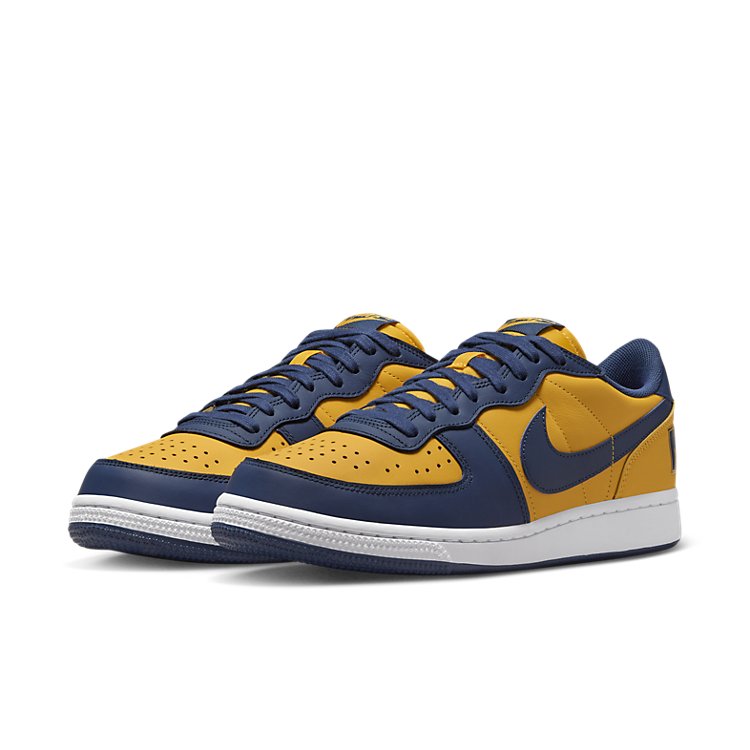 Nike Terminator Low 'Michigan' FJ4206-700