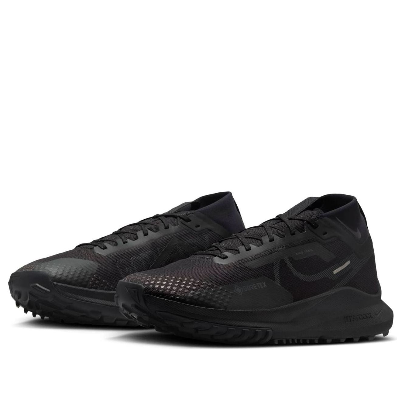 Nike Pegasus Trail 4 GTX V2 'Black Dark Grey' HM9728-002
