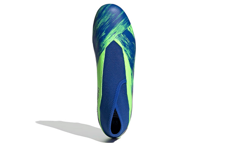adidas Nemeziz 19.3 FG 'Royal Blue Signal Green' FV3985