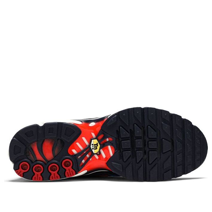 (GS) Nike Air Max Plus 'Photo Blue' CI5676-400