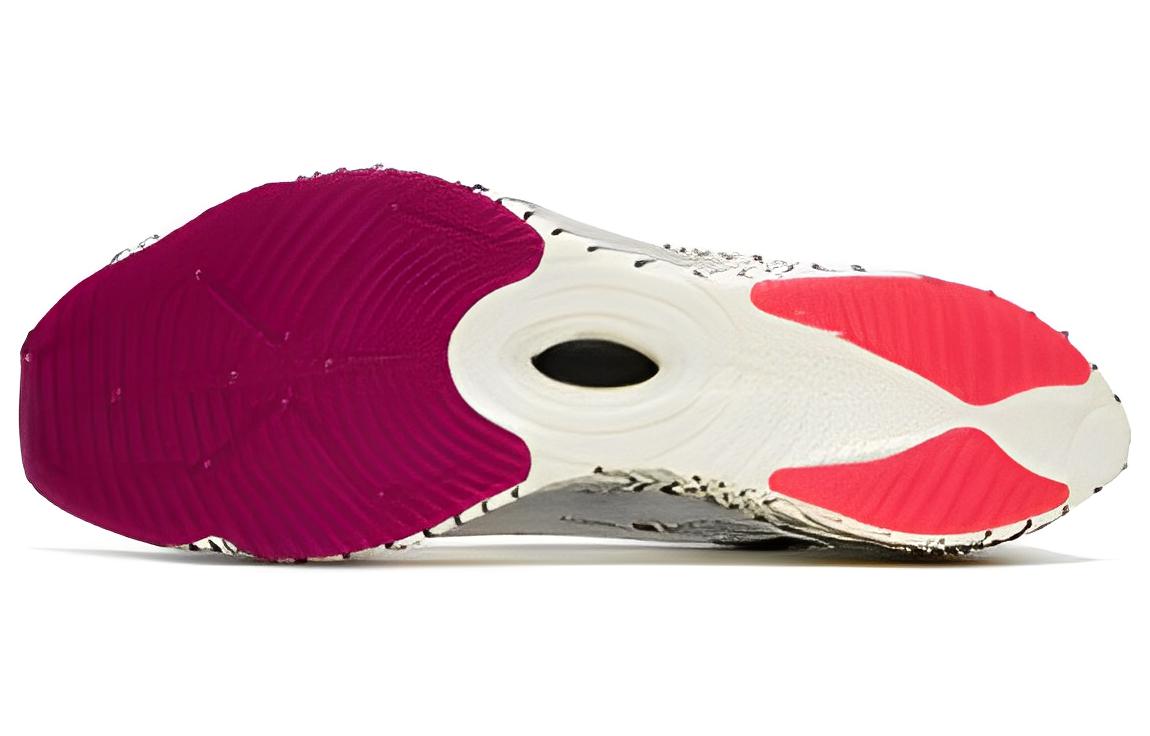 ANTA C202 GT Pro 'White Black' 412310401-1