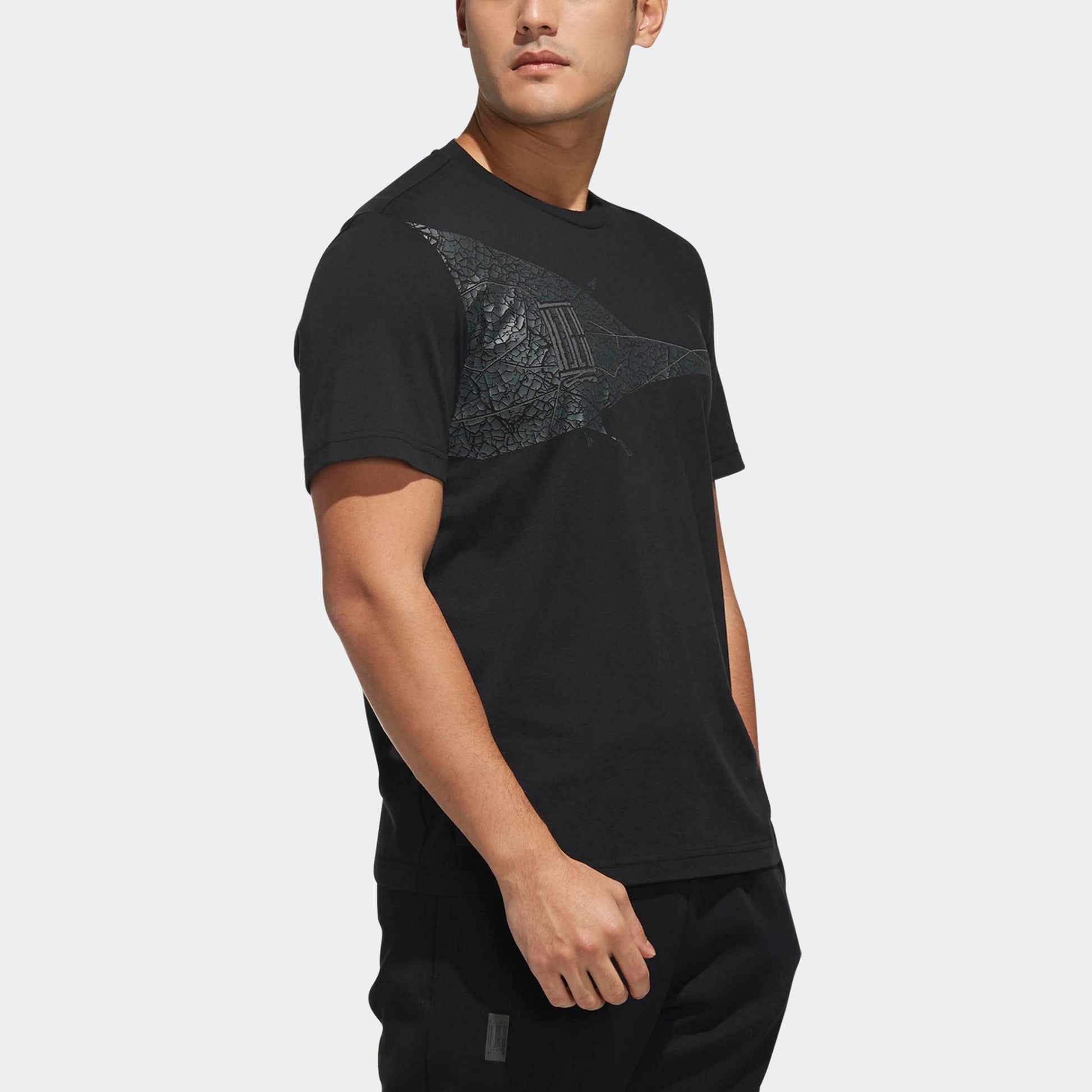 adidas Printing Round Neck Pullover Short Sleeve Black DW4682