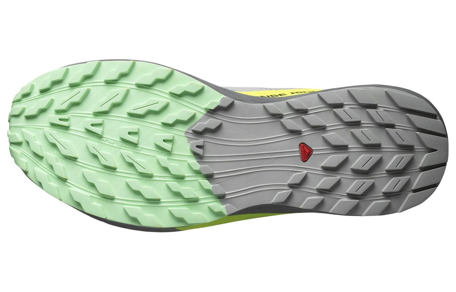 SALOMON Sense Ride 5 'Grey' L47144200