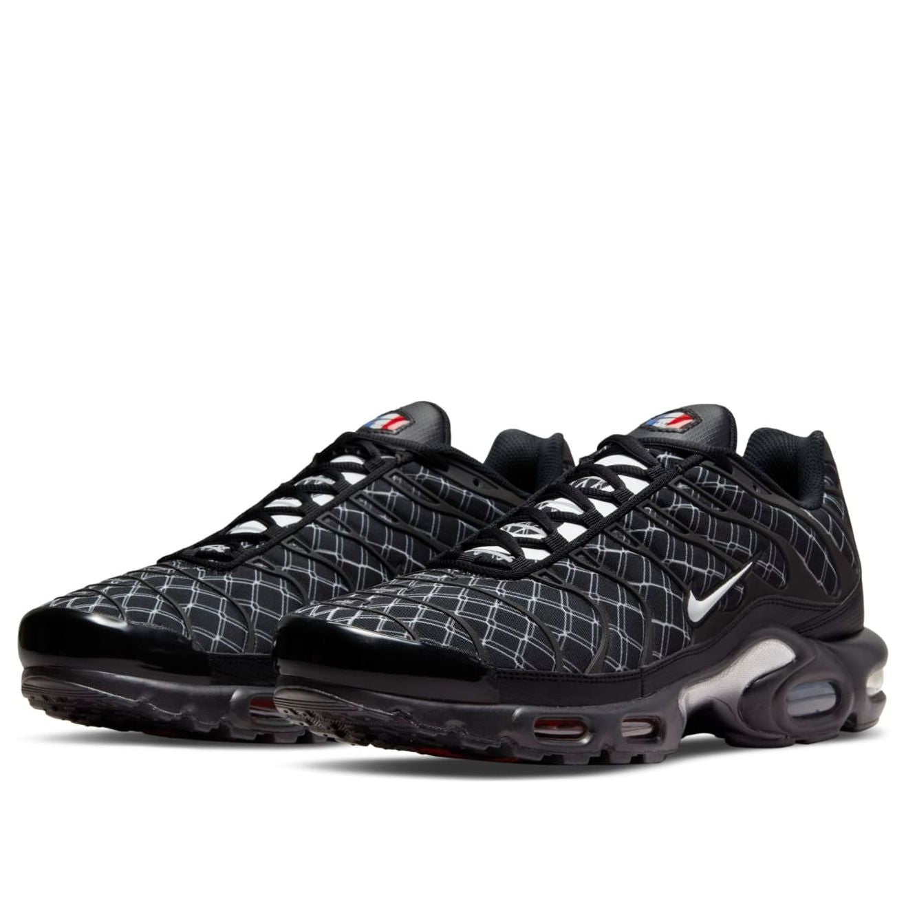 Nike Air Max Plus 'France' DV3194-001