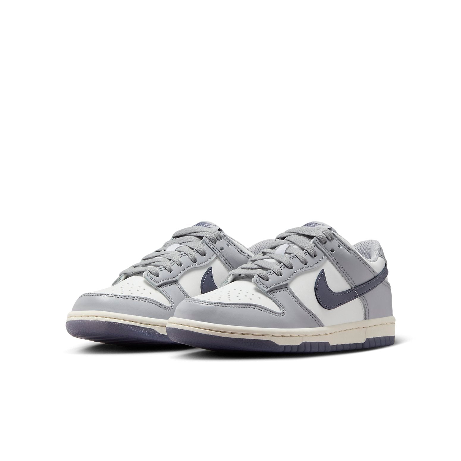 (GS) Nike Dunk Low 'Platinum Tint Light Carbon' FB9109-101